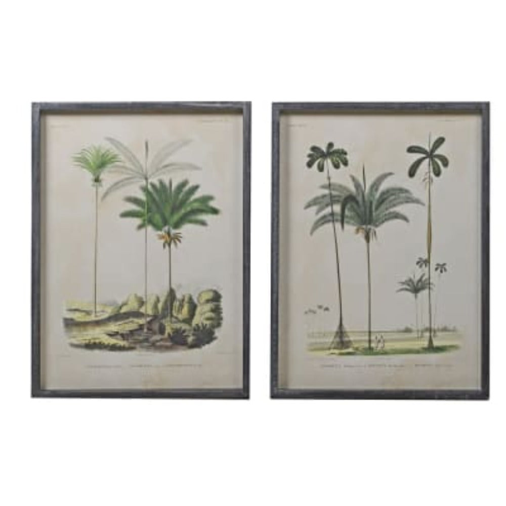 Palm Tree Pictures Pair