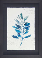 Botanical Blue A