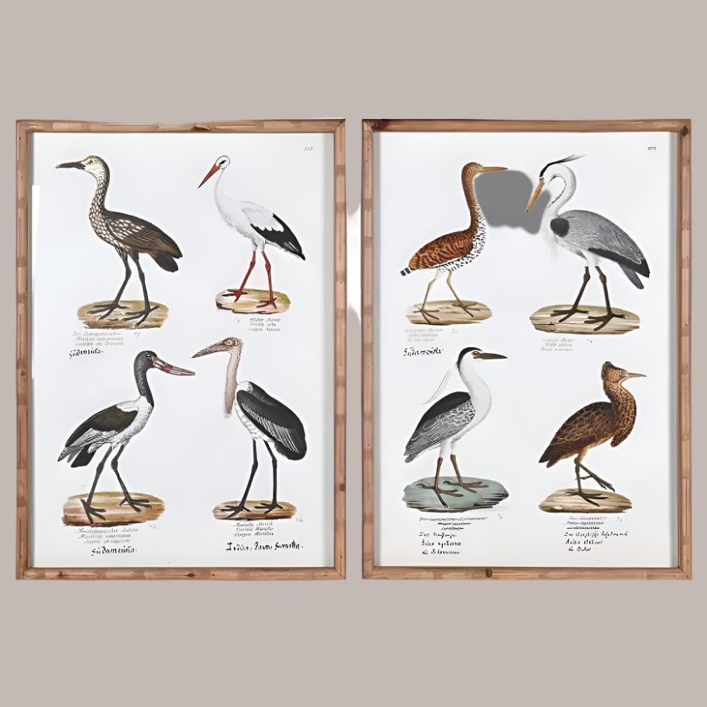 Wading Birds Set