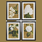 White Florals Set of 4