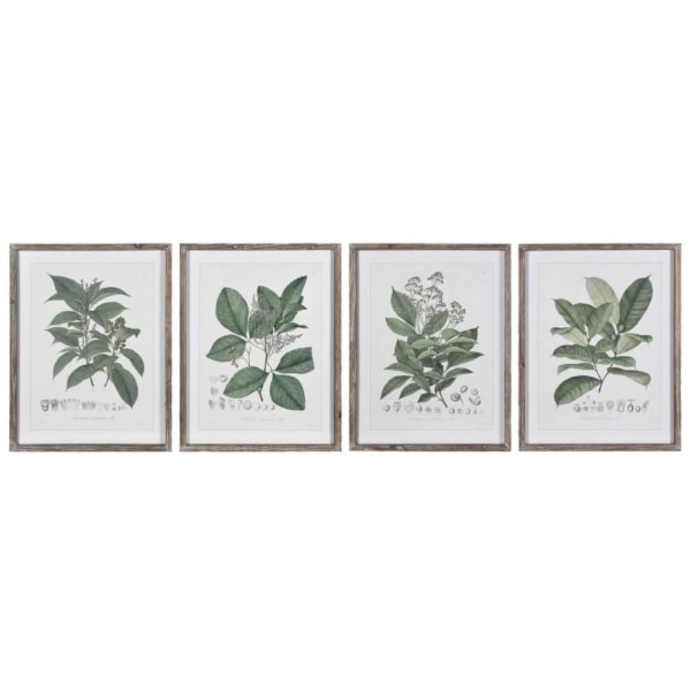 Set of 4 Perennial Herbs Wall Art