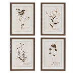 Delicate Floral Set of 4