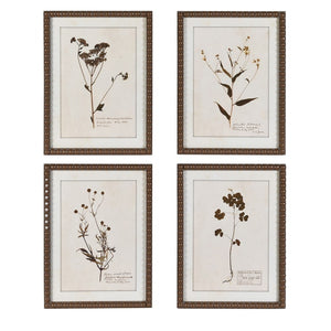 Delicate Floral Set of 4