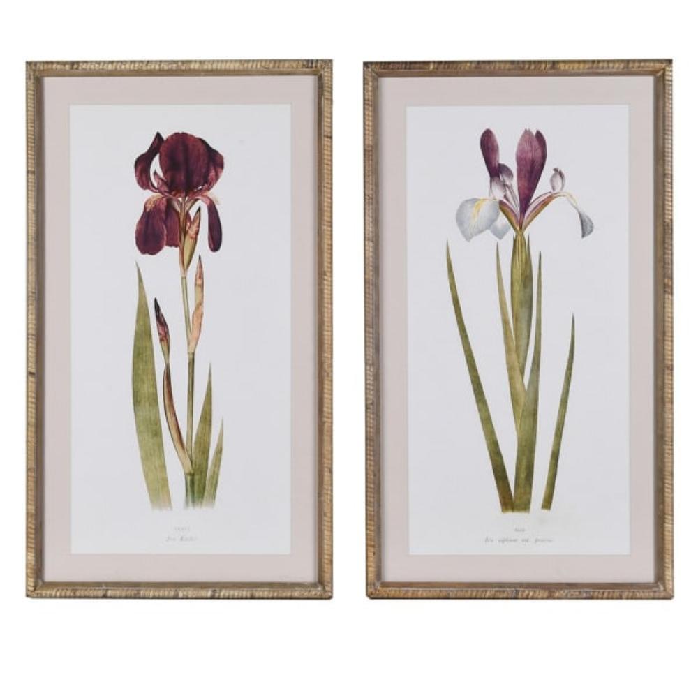 Set of 2 Iris Wall Art