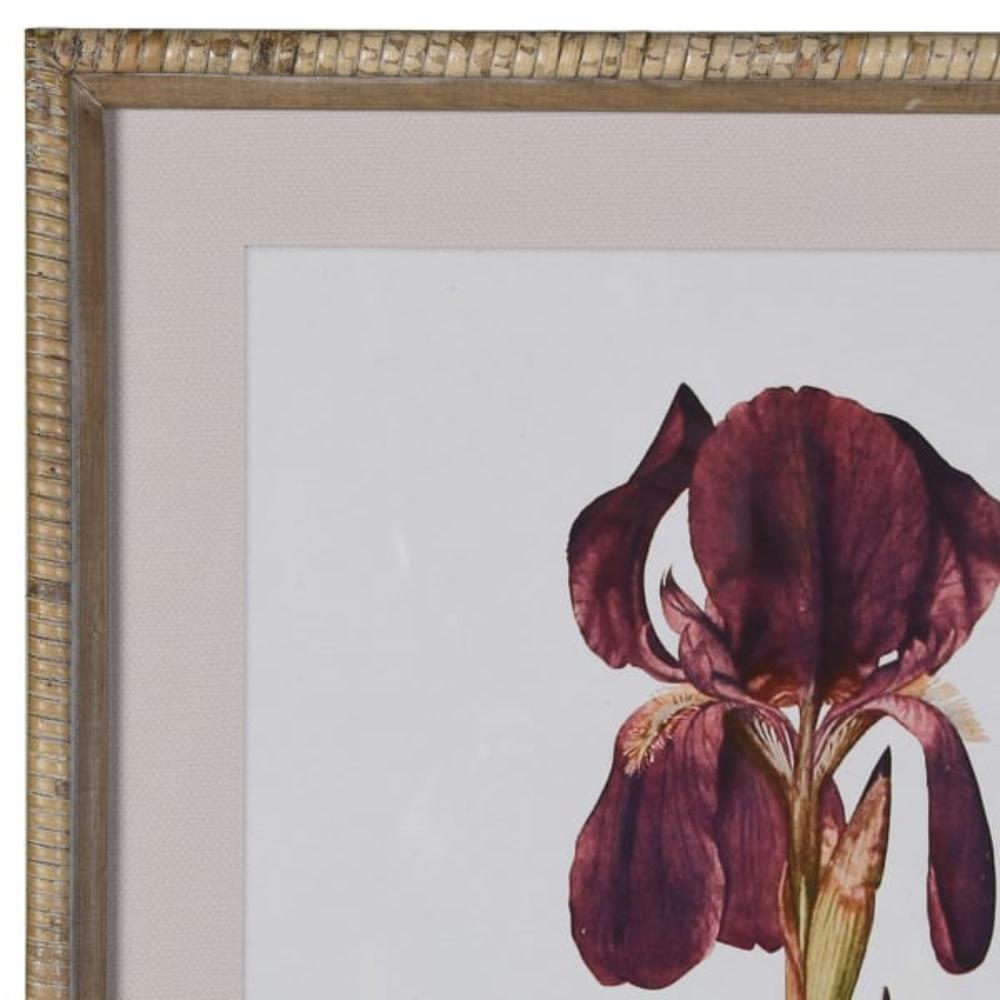 Set of 2 Iris Wall Art