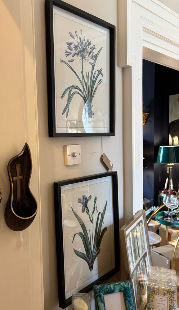 Iris and Agapanthus Picture Set