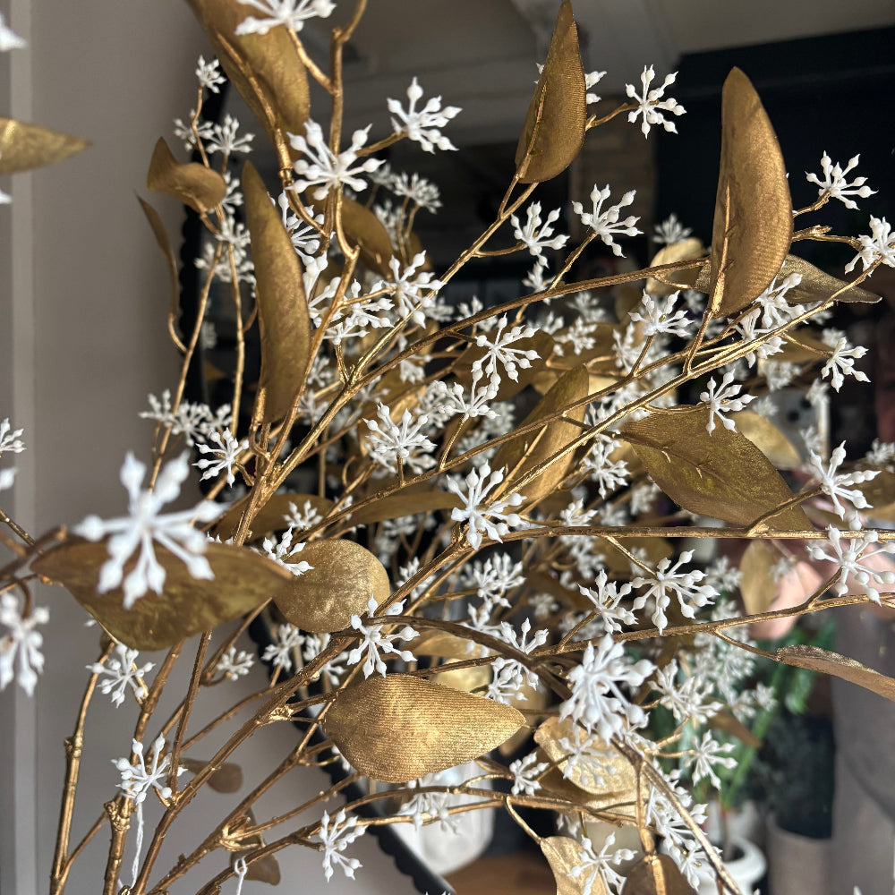 Gold Eucalyptus Seeds Stem