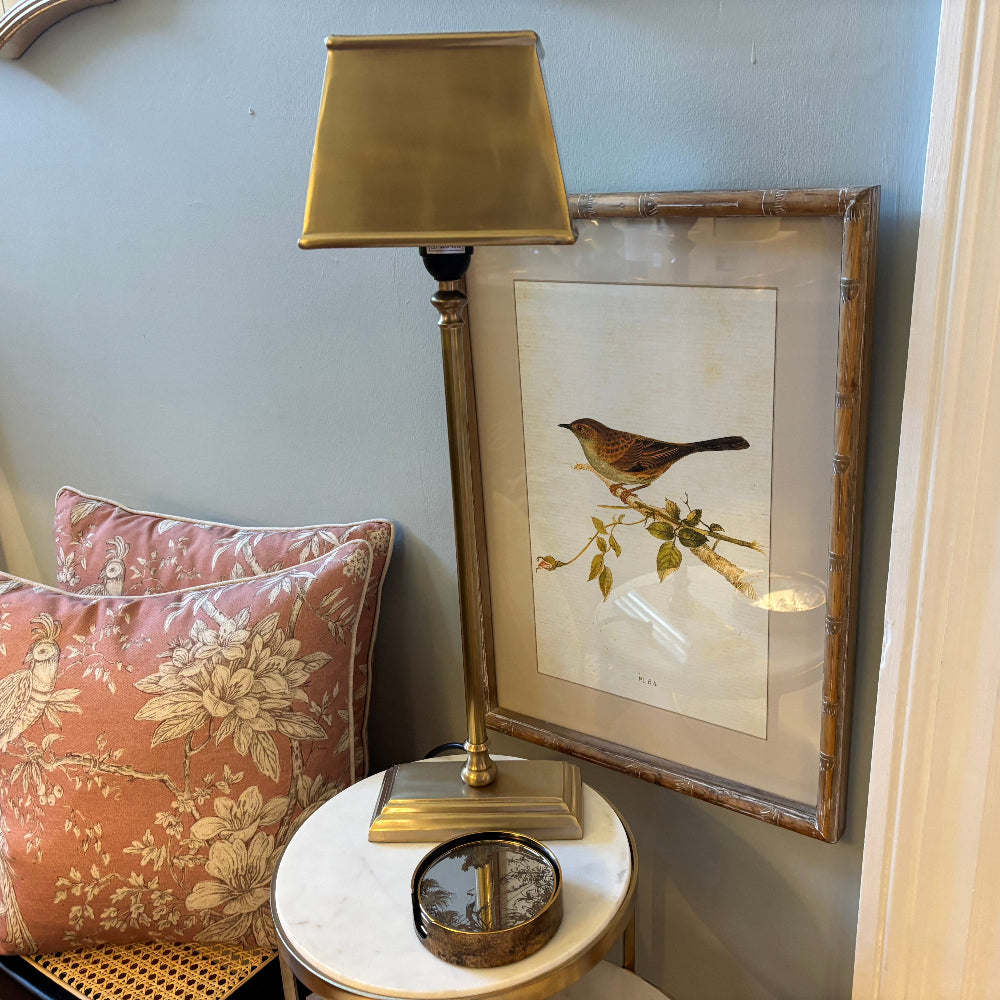 Brushed Brass Table Lamp