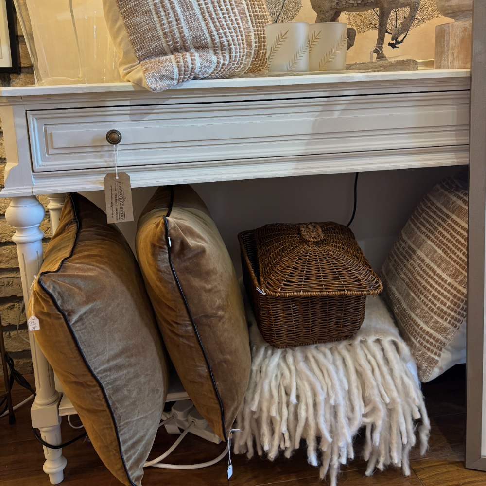 Brown Velvet Cushion with Piping