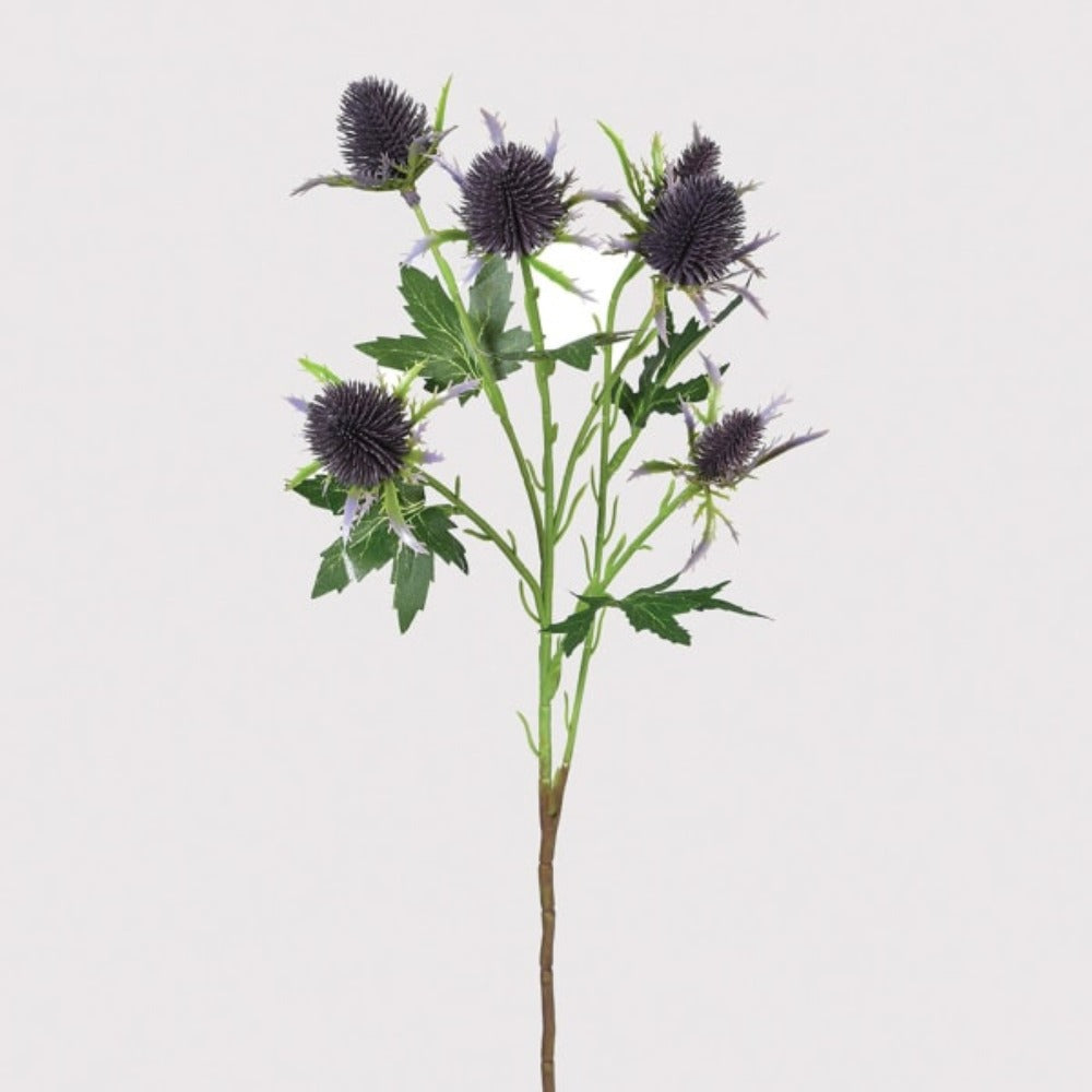 Eryngium Thistle Spray with Leaves
