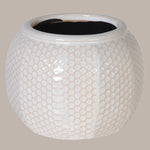 Large Honeycomb Effect White Pot