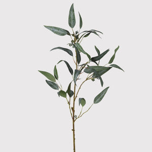 Berry Eucalyptus Spray
