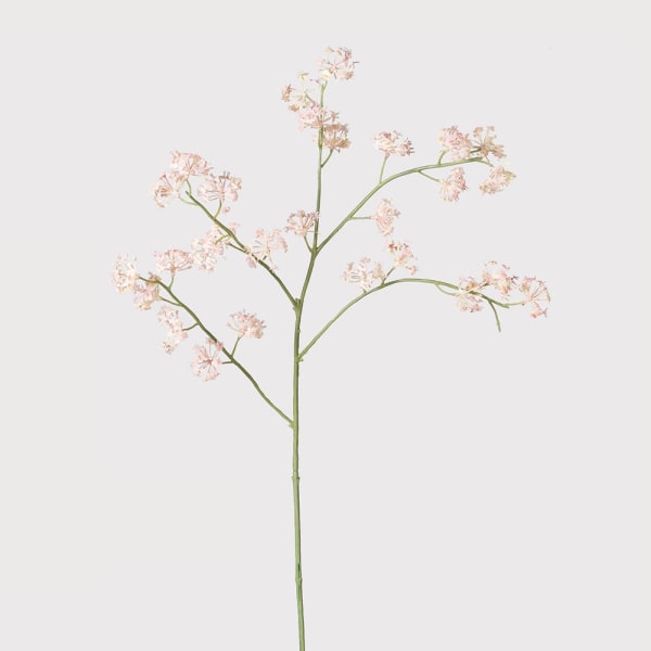 Blush Sea Kale Spray