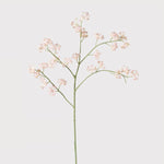 Blush Sea Kale Spray