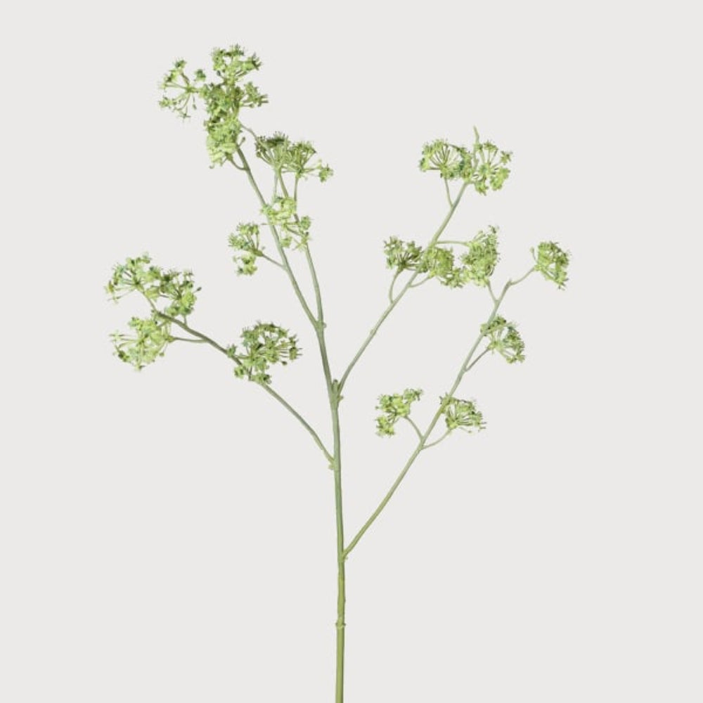 Green Sea Kale Spray