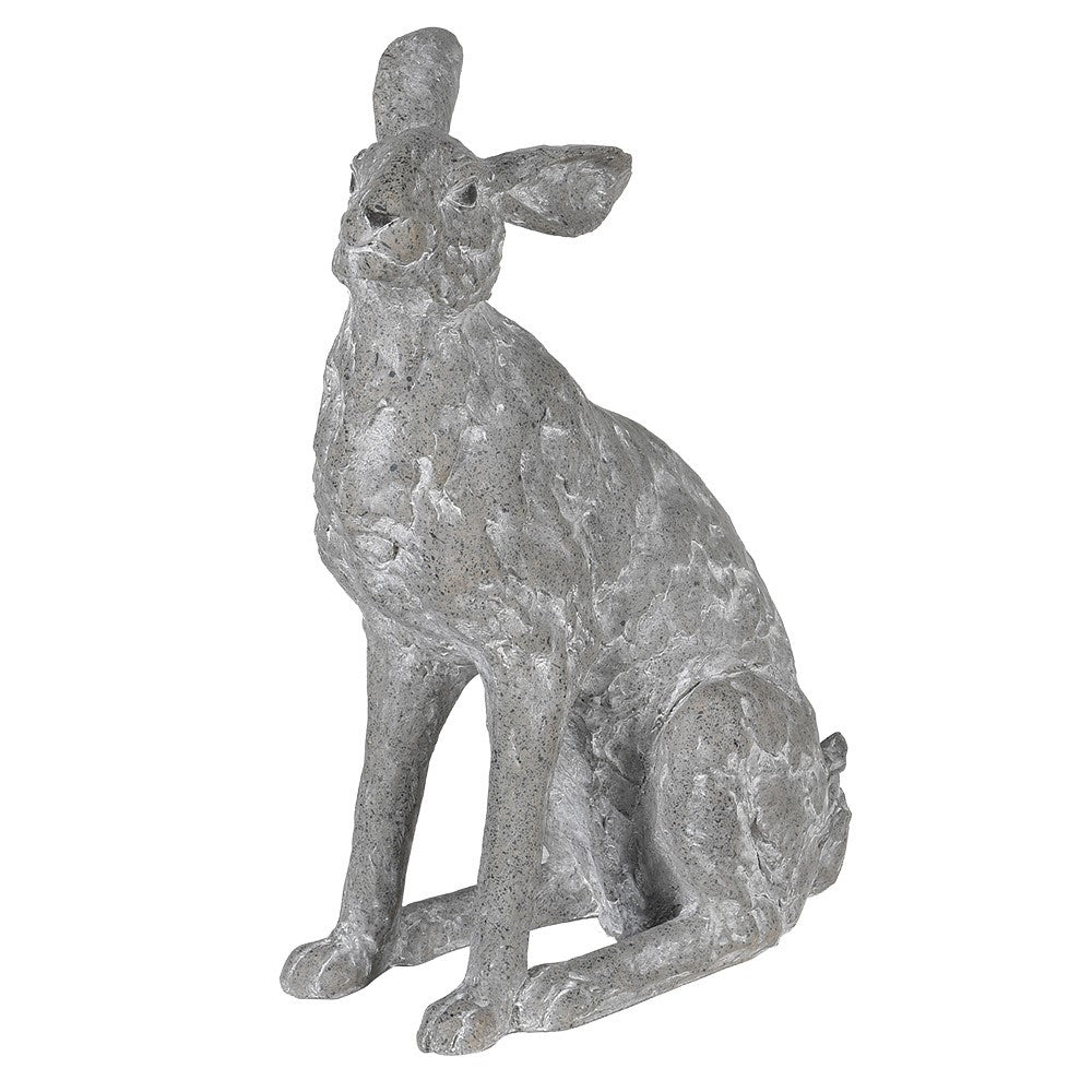 Sitting Grey Hare