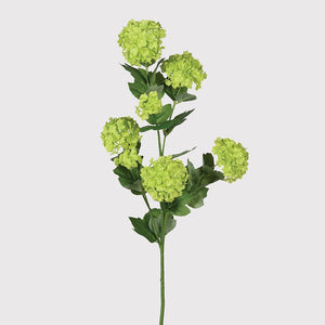 Lime Snowball spray