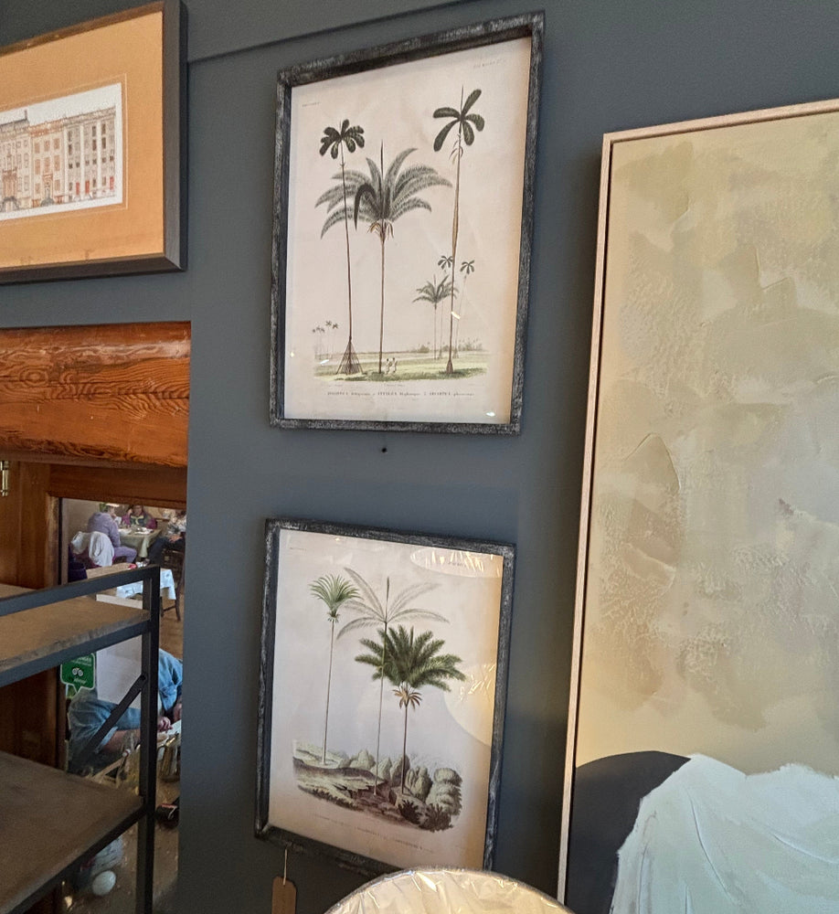 Palm Tree Pictures Set of 2