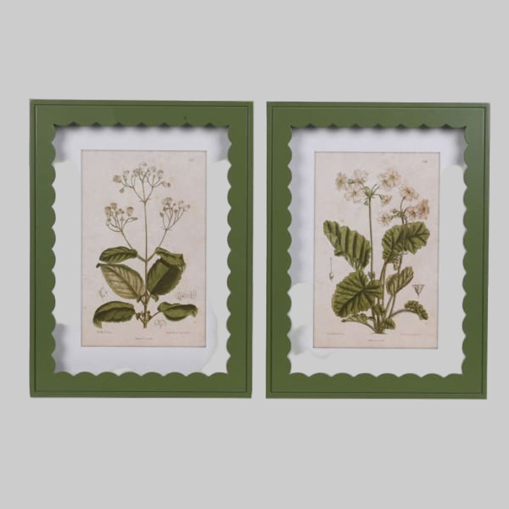 Set of 2 Scallop Primula Prints
