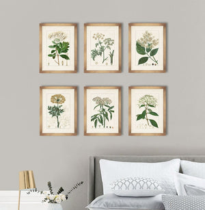 
            
                Load image into Gallery viewer, Antique Botanicals I
            
        