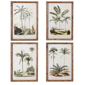 
            
                Load image into Gallery viewer, Palm Tree Picture
            
        