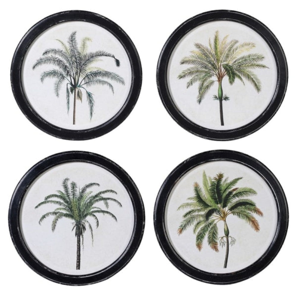 Round Palm Tree Pictures 4 sizes