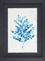 Botanical Blue C