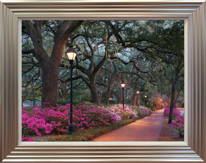 
            
                Load image into Gallery viewer, Forsyth Park
            
        
