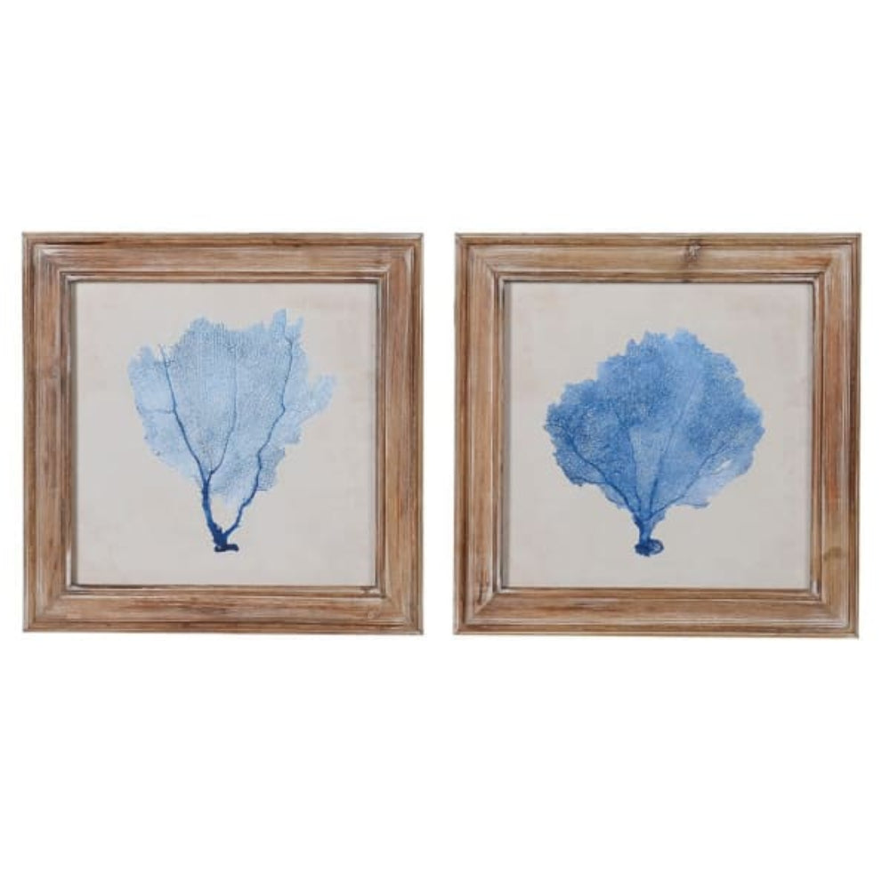 Blue Coral Picture Set