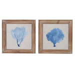 Blue Coral Picture Set