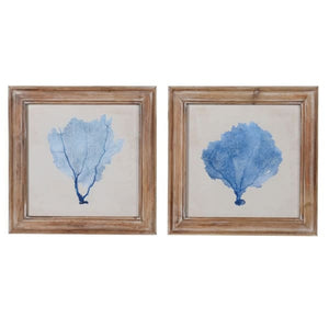 Blue Coral Picture Set