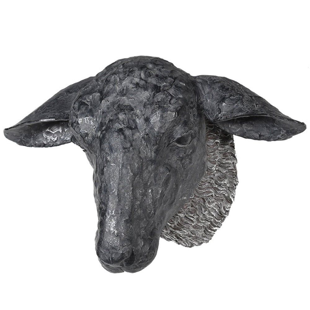 
            
                Load image into Gallery viewer, Black Sheep Head Wall Decoration
            
        