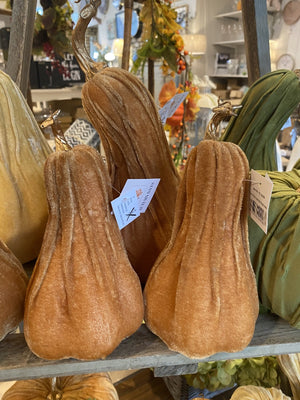 Crooked Neck Orange Pumpkin , 2 sizes small and Large