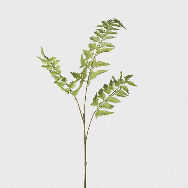 Large Lime Green Fern Spray