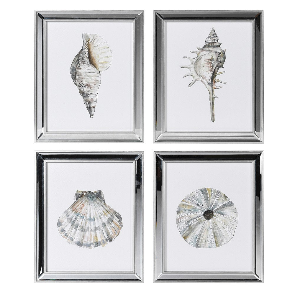 Set 4 Framed Shell Prints